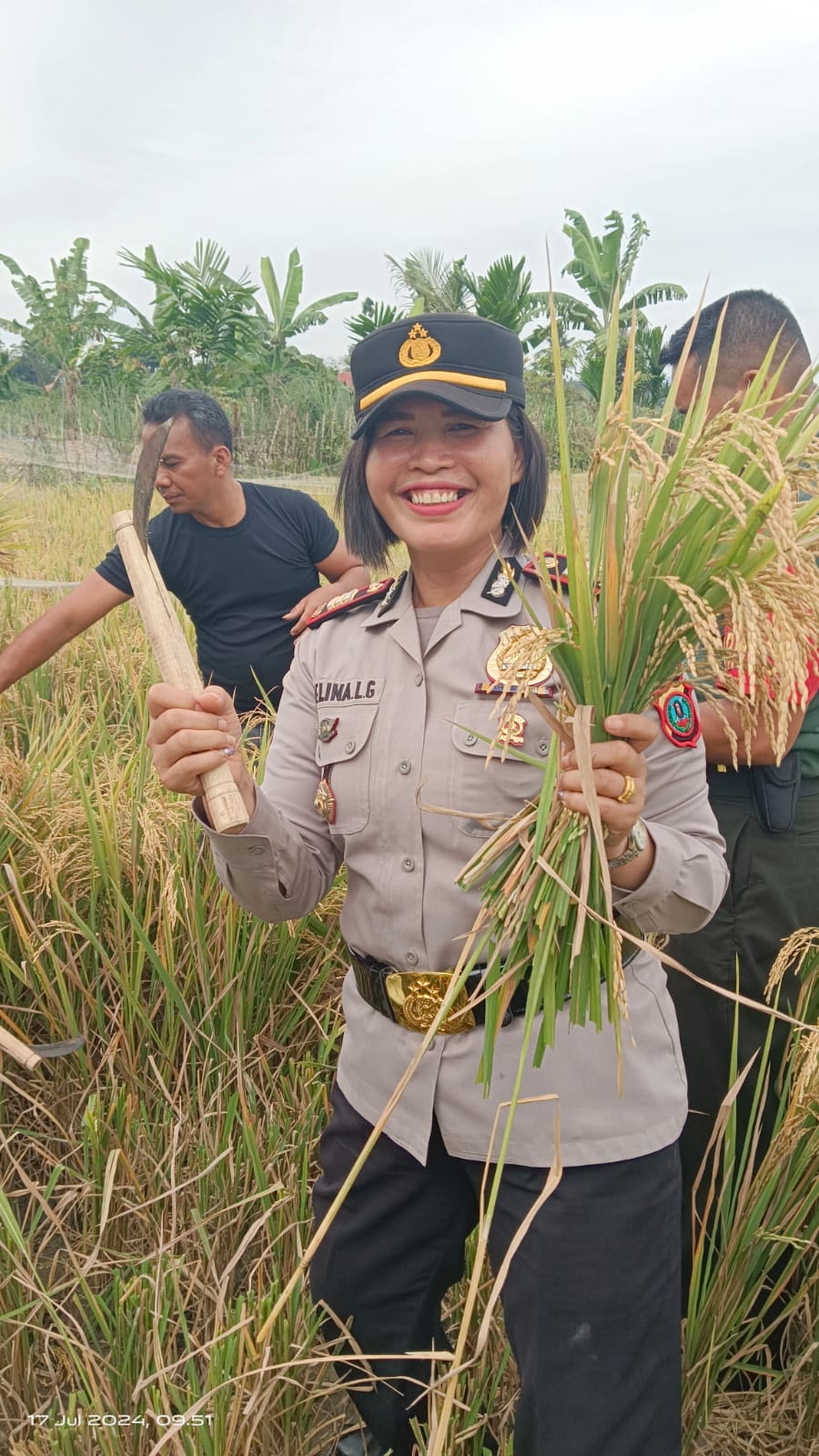 Dukung Ketahanan Pangan, Kapolsek Siantar Marihat Hadiri Pengubinan Padi di Sianjur Nauli Dukung Ketahanan Pangan, Kapolsek Siantar Marihat Hadiri Pengubinan Padi di Sianjur Nauli