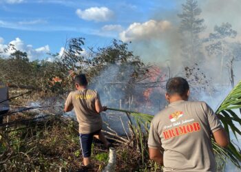 Kompi 2 Batalyon C Pelopor Sat Brimob Polda Sumut Berhasil Padamkan Kebakaran di Desa Maris