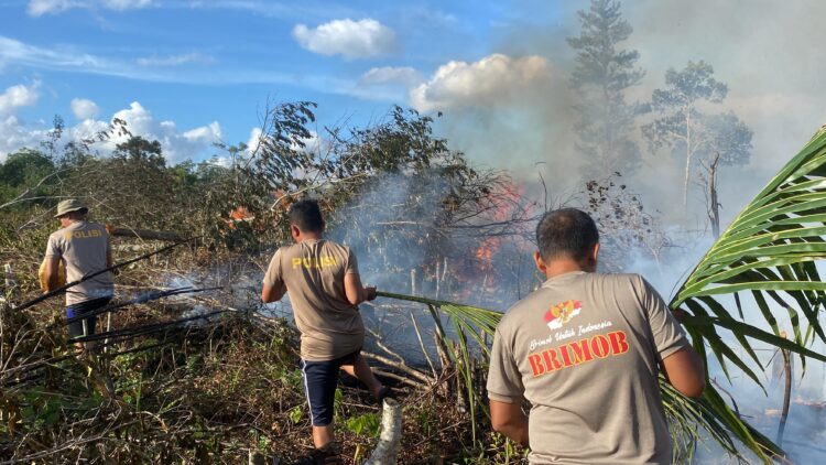Kompi 2 Batalyon C Pelopor Sat Brimob Polda Sumut Berhasil Padamkan Kebakaran di Desa Maris
