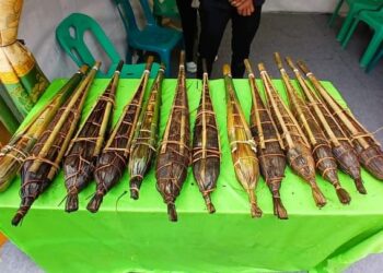 Pesta Budaya Oang-Oang Kabupaten Pakpak Bharat Membawa Berkah Bagi Pelaku UMKM