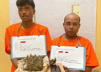 2 Warga Padangsidimpuan Ditangkap Sat Narkoba Polres Tapteng, Terbukti Edarkan Ganja