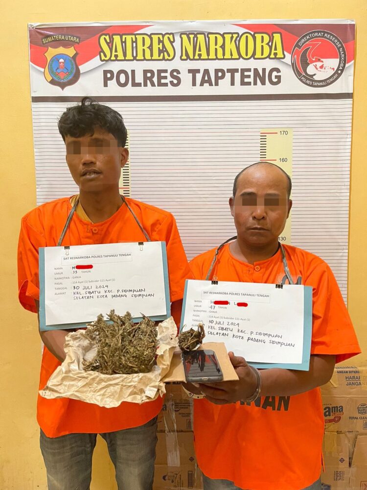 2 Warga Padangsidimpuan Ditangkap Sat Narkoba Polres Tapteng, Terbukti Edarkan Ganja