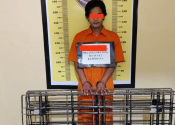Pelaku Pencurian Jerjak Besi Ditangkap Tim Reskrim Polsek Sibolga Sambas