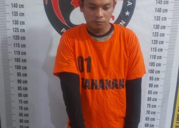 Polsek Saribu Dolok Tangkap Pelaku Pengedar Narkoba di Wilayah Perladangan