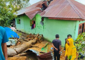 Hujan Deras Disertai Angin Puting Beliung di Taput, 8 Rumah Rusak dan 1 Meninggal Dunia 