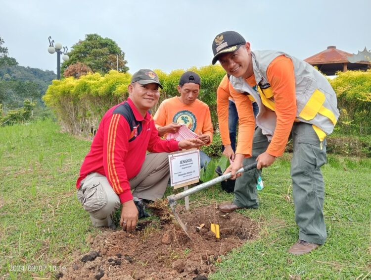 Pemerintah Pekon Bedudu Kecamatan Belalau Bersama Rainforest Alliance Indonesia Melakukan Penanaman 1000 Batang Tanaman Buah Pemerintah Pekon Bedudu Kecamatan Belalau Bersama Rainforest Alliance Indonesia Melakukan Penanaman 1000 Batang Tanaman Buah