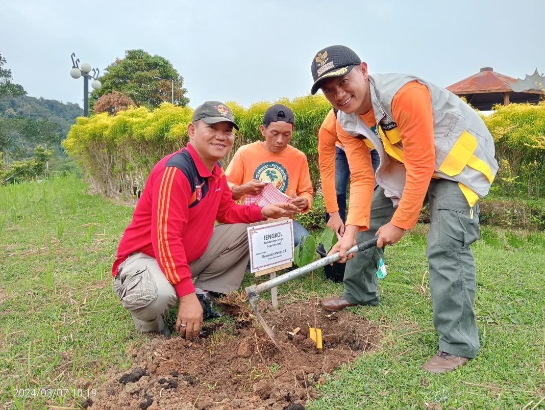Pemerintah Pekon Bedudu Kecamatan Belalau Bersama Rainforest Alliance Indonesia Melakukan Penanaman 1000 Batang Tanaman Buah