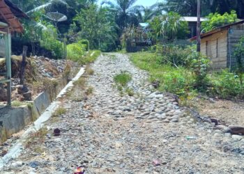 Lapor Pak Bupati Tapteng, Masyarakat Desa Parsihotangan Mengharapkan Perbaikan Jalan