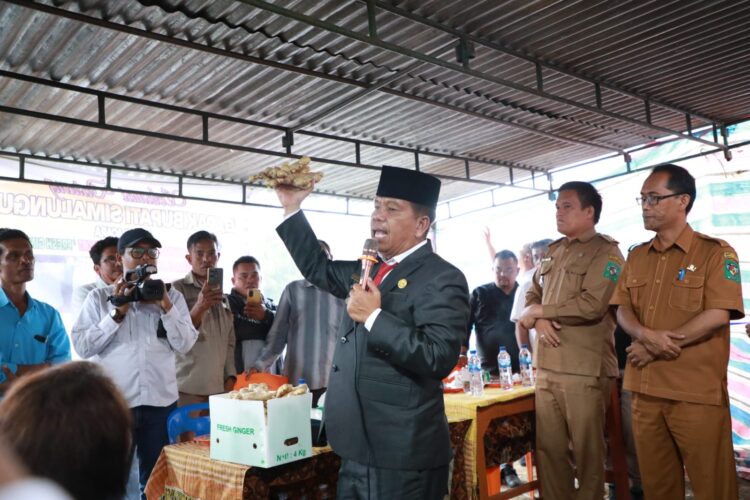 Bupati Simalungun Radiapoh Hasiholan Sinaga Memberangkatkan Eksport Fresh Ginger Perdana Simalungun - Dubai