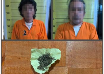 Polres Taput Berhasil Amankan 2 Pengguna Narkoba Dan 1 Pengedar