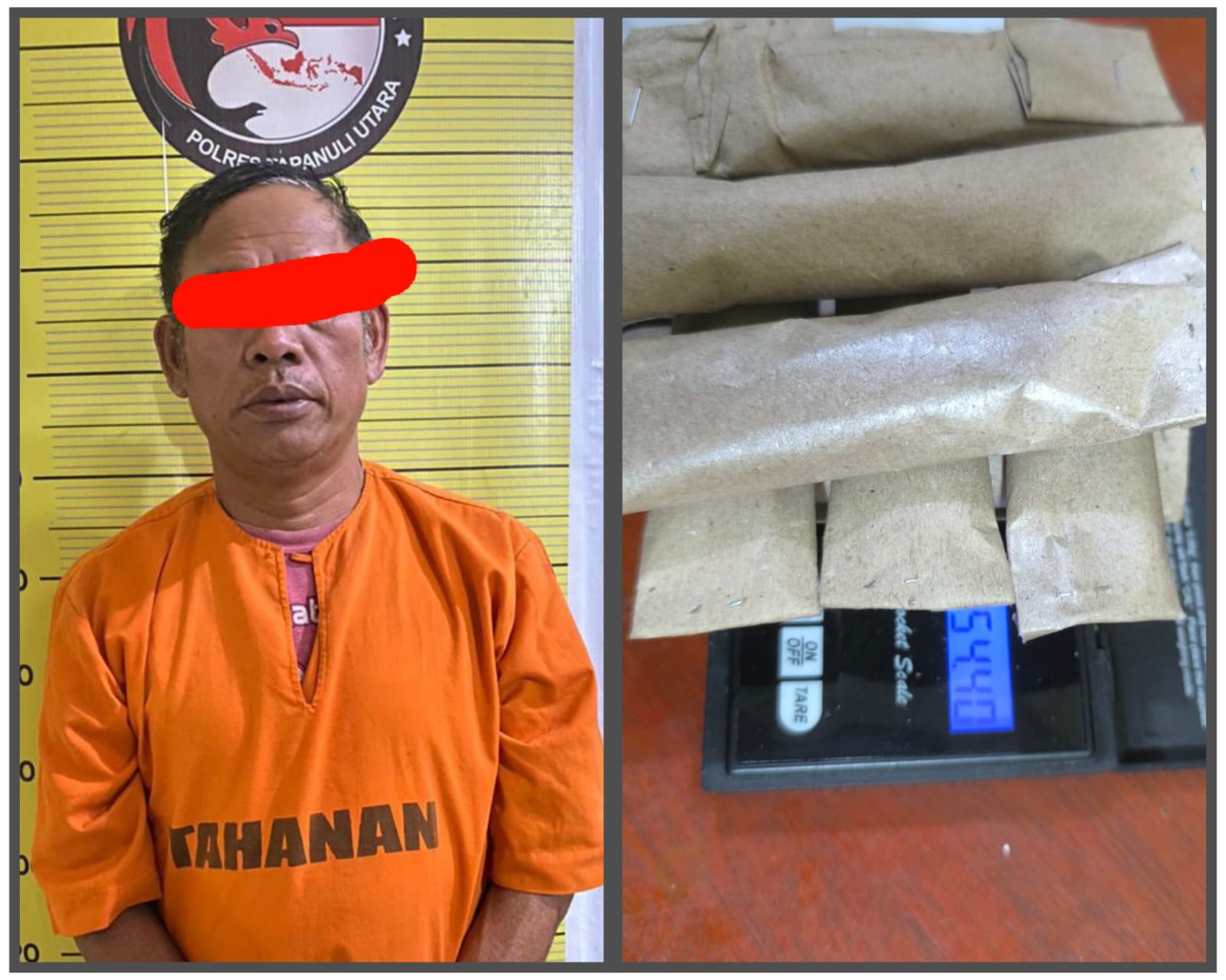 Polres Taput Amankan Pengedar Ganja Dari Sitabotabo Siborongborong