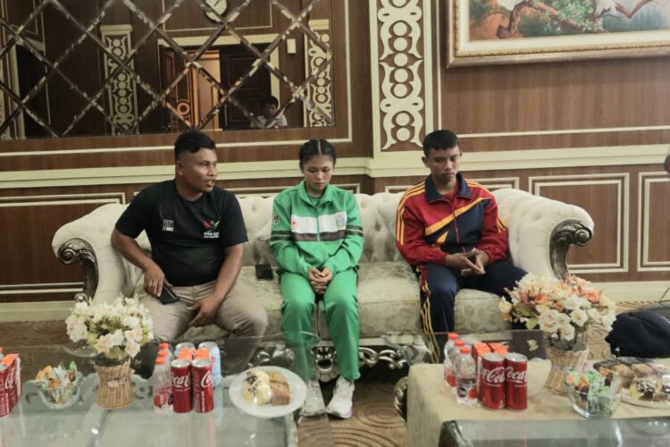 Pjs Bupati Pakpak Bharat Terima Audensi Persatuan Tinju Amatir Indonesia 