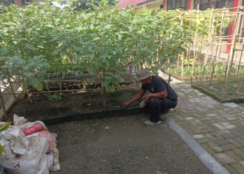 Personil Kompi 1 Batalyon A Pelopor Sat Brimob Polda Sumut Laksanakan Kegiatan Pemeliharaan Ketahanan Pangan