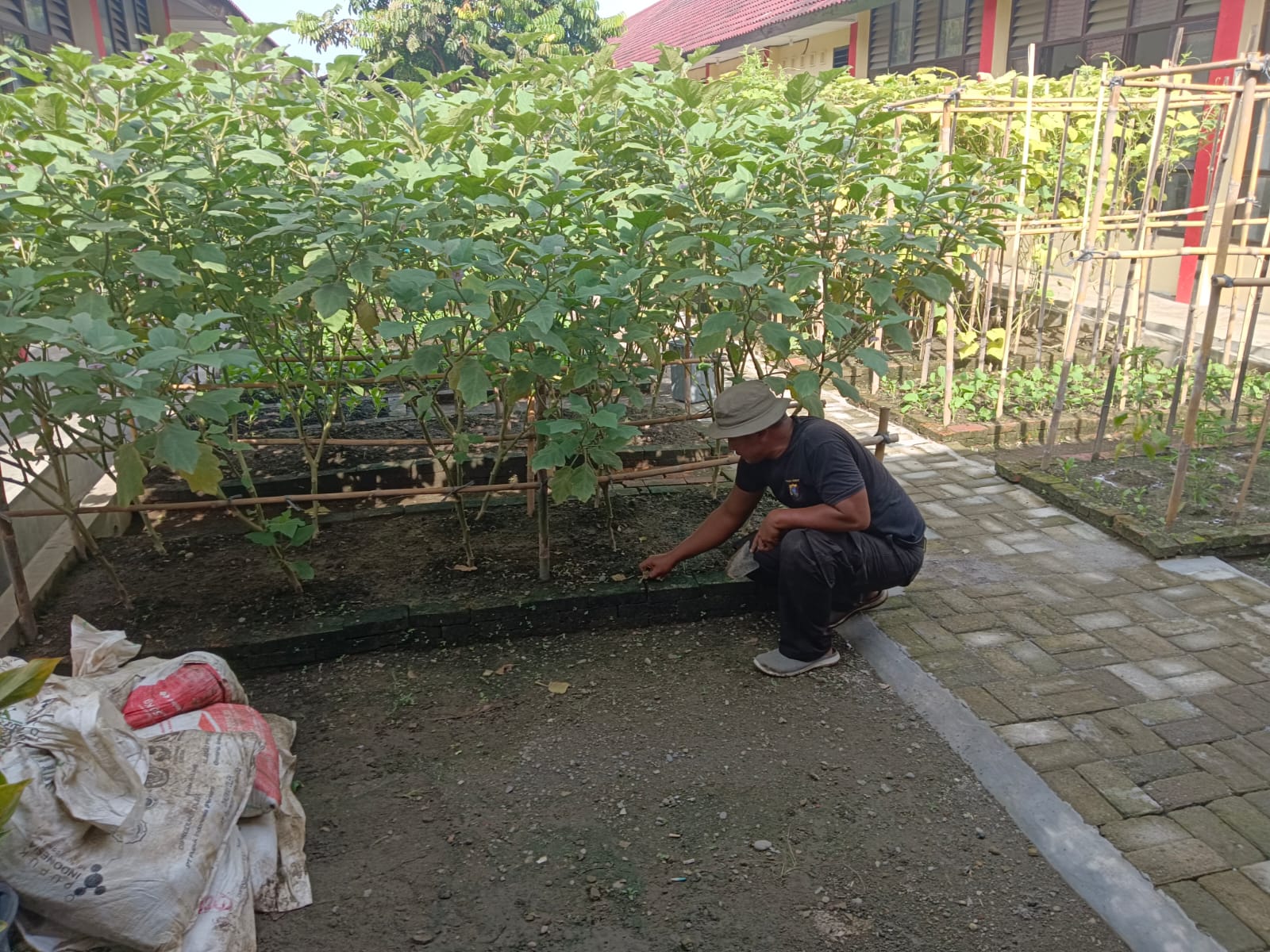 Personil Kompi 1 Batalyon A Pelopor Sat Brimob Polda Sumut Laksanakan Kegiatan Pemeliharaan Ketahanan Pangan