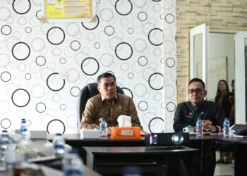 Pemkab Pakpak Bharat Terpilih Sebagai Mall Pelayanan Publik Digital 