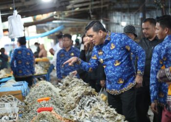 Pjs Bupati Pakpak Bharat Kunjungi Pasar Tradisional Klohi