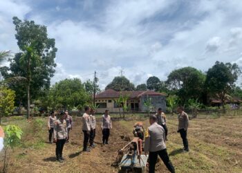 Polres Tapteng Olah Lahan Kosong Jadi Produktif, Untuk Ketahanan Pangan