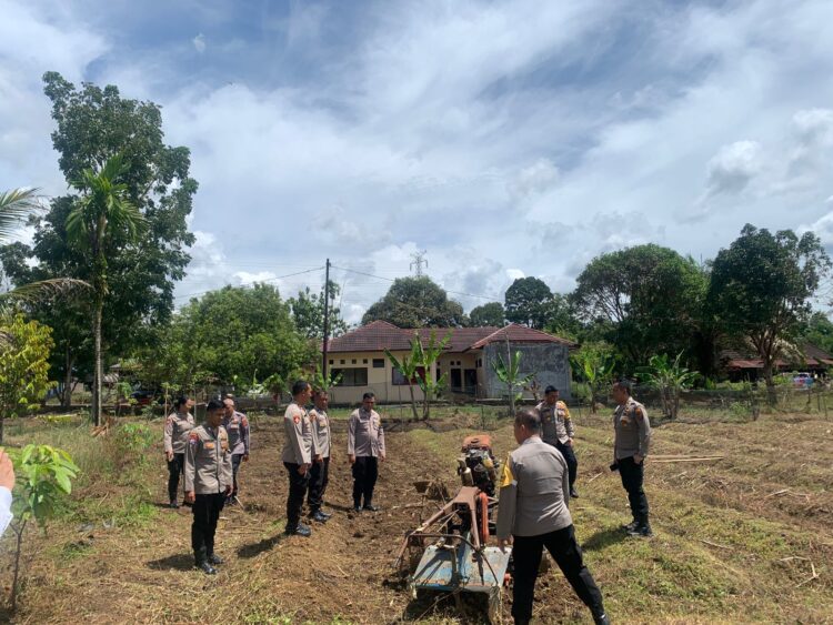Polres Tapteng Olah Lahan Kosong Jadi Produktif, Untuk Ketahanan Pangan