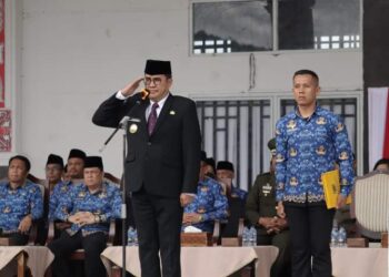 Pjs Bupati Pakpak Bharat Pimpin Upacara Peringatan Hari Pahlawan