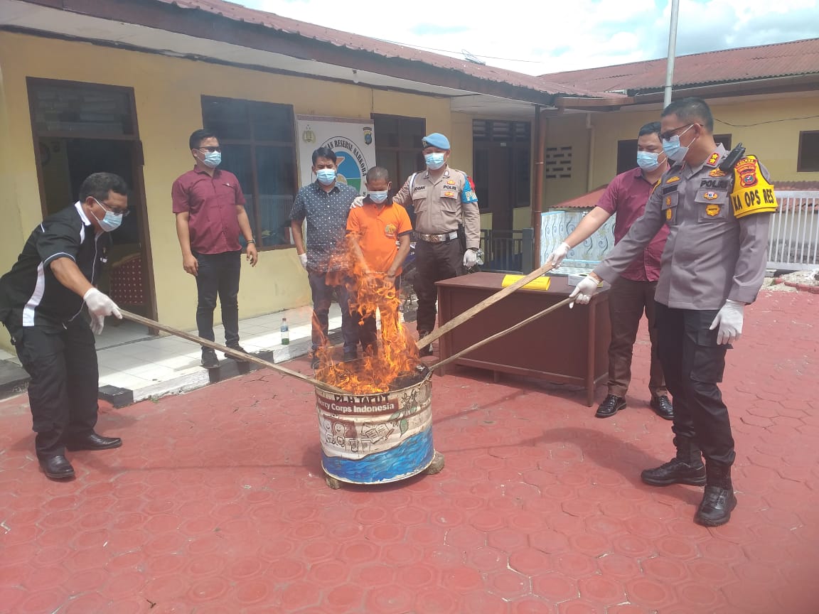 Polres Taput Musnahkan Barang Bukti 2 Kg Narkoba Jenis Ganja Polres Taput Musnahkan Barang Bukti 2 Kg Narkoba Jenis Ganja