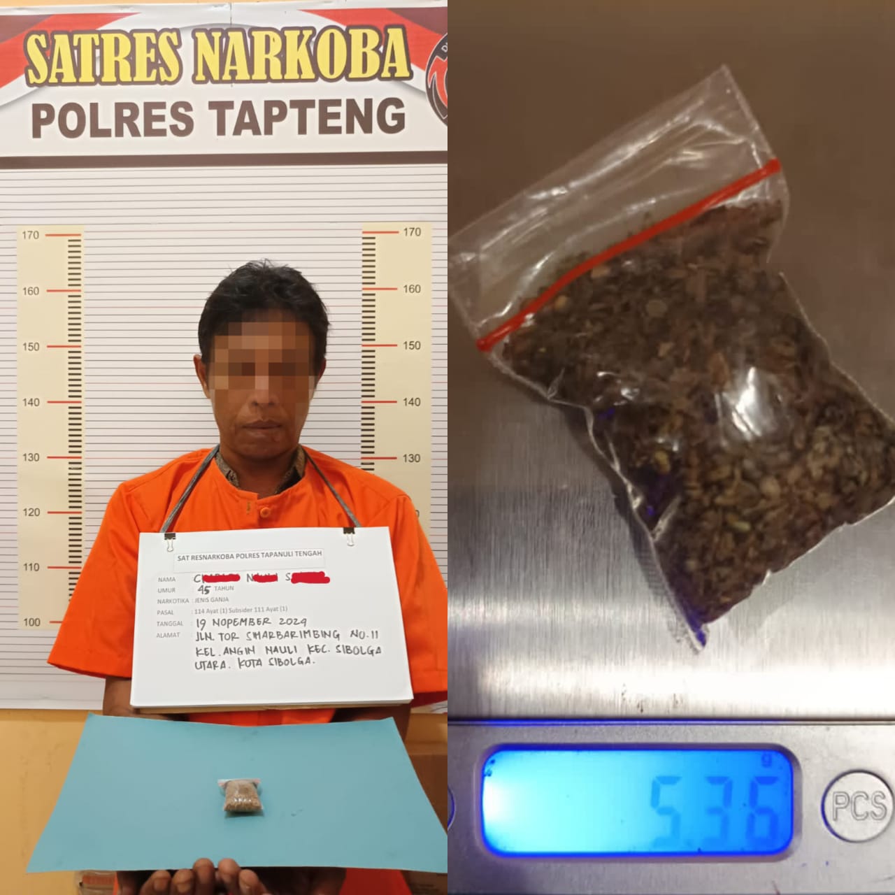 Polres Tapteng Ringkus Pengedar Ganja Asal Sarudik, Barbut 5,36 Gram Polres Tapteng Ringkus Pengedar Ganja Asal Sarudik, Barbut 5,36 Gram