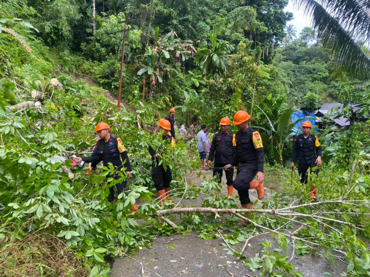 SAR Kompi 4 Batalyon C Pelopor Sat Brimob Polda Sumut Gerak Cepat Dampak Longsor di Desa Onowaembo Gunung Sitoli