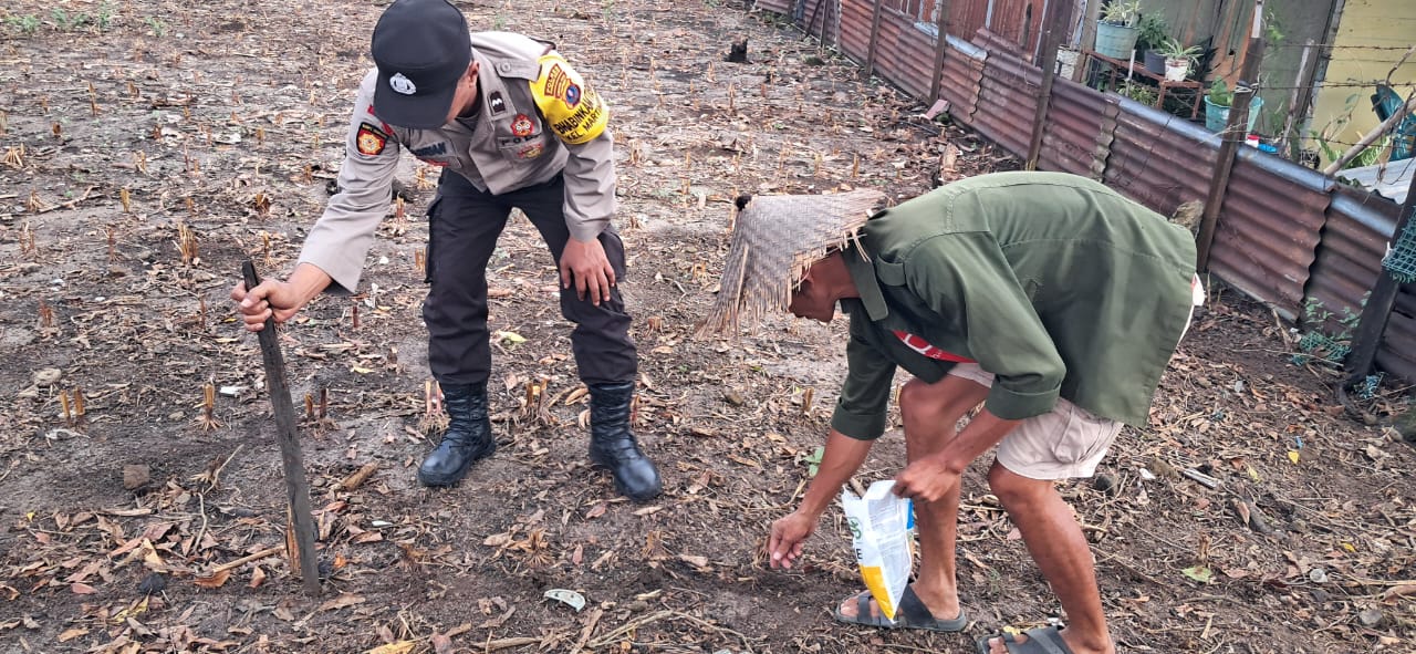 Dukung Ketahanan Pangan, Bhabinkamtibmas Polsek Siantar Selatan Ajak Warga Manfaatkan Lahan Kosong Dukung Ketahanan Pangan, Bhabinkamtibmas Polsek Siantar Selatan Ajak Warga Manfaatkan Lahan Kosong