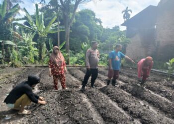 Bhabinkamtibmas Polsek Siantar Martoba Dorong P2L Wanita Kolompok Tani