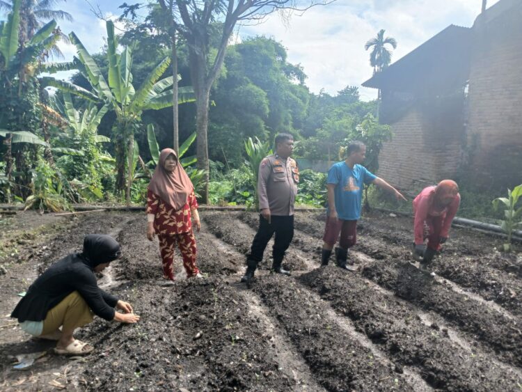 Bhabinkamtibmas Polsek Siantar Martoba Dorong P2L Wanita Kolompok Tani