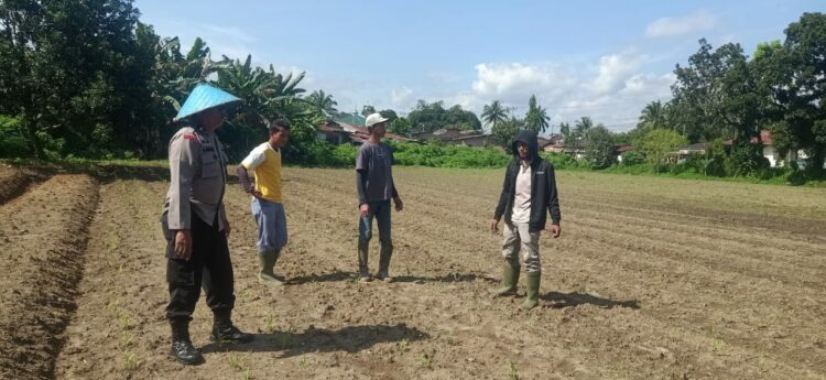 Bhabinkamtibmas Parhorasan dorong Warganya Tanam Benih Jagung Sebagai Upaya Mendukung Ketahanan Pangan