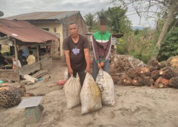 Polsek Siantar Marihat Kedepankan Problem Solving Selesaikan Kasus Pencurian Kelapa Sawit
