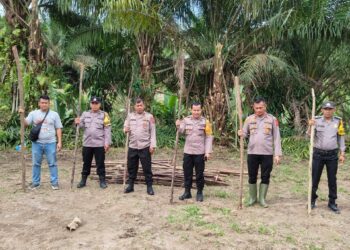 Polsek Bosar Maligas Kembangkan Lahan Jagung Dukung Program Ketahanan Pangan Nasional