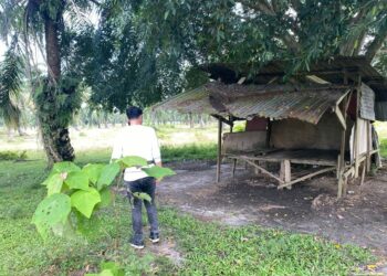Gerak Cepat Respon Aduan Masyarakat, Satresnarkoba Polres Simalungun Gerebek 4 Lokasi Dugaan Peredaran Narkoba 