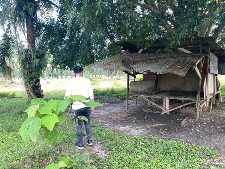 Gerak Cepat Respon Aduan Masyarakat, Satresnarkoba Polres Simalungun Gerebek 4 Lokasi Dugaan Peredaran Narkoba Gerak Cepat Respon Aduan Masyarakat, Satresnarkoba Polres Simalungun Gerebek 4 Lokasi Dugaan Peredaran Narkoba