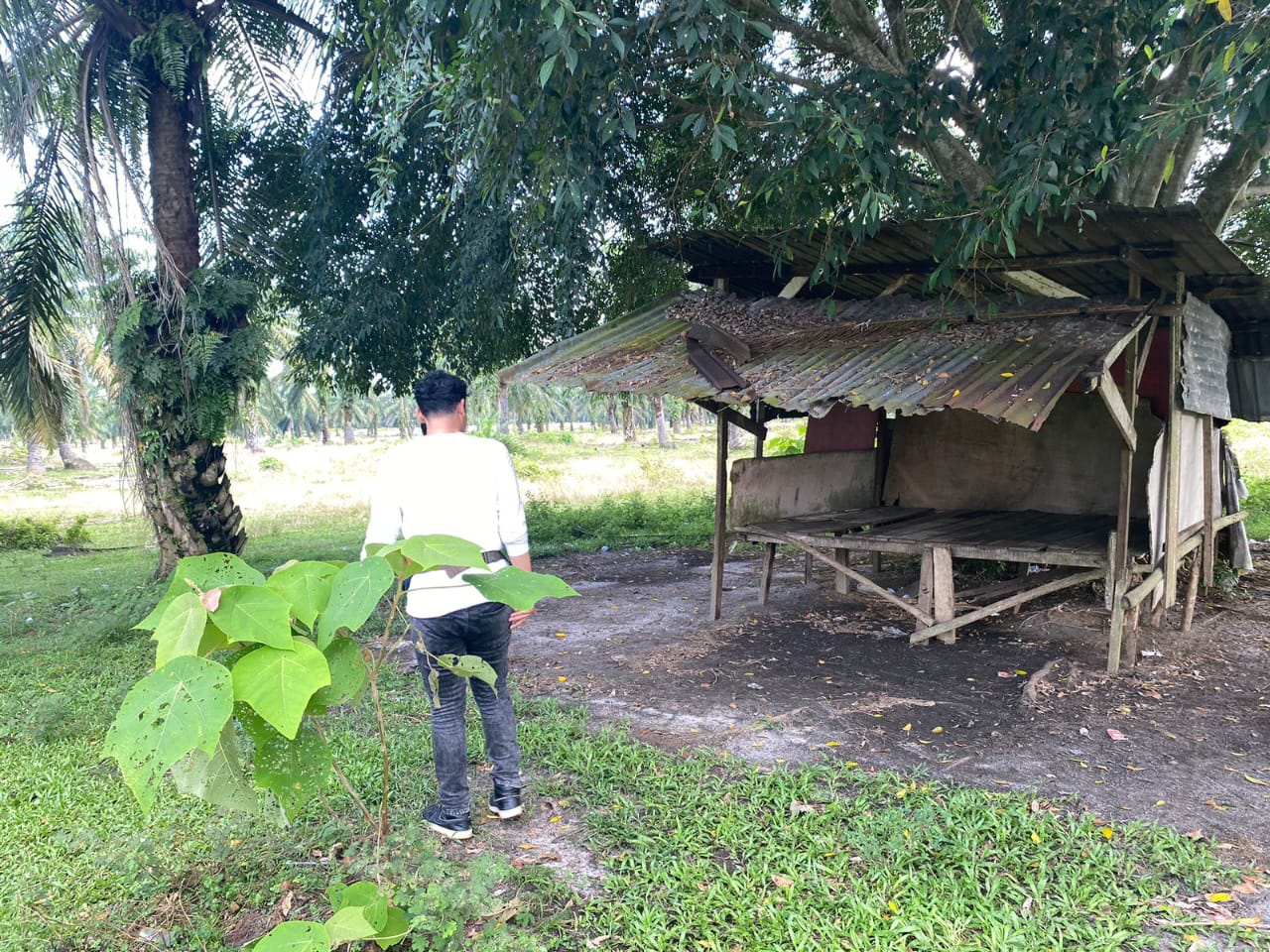 Gerak Cepat Respon Aduan Masyarakat, Satresnarkoba Polres Simalungun Gerebek 4 Lokasi Dugaan Peredaran Narkoba 