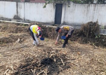 Bhabinkamtibmas Polsek Siantar Marihat Sambangi Warga Binaan,  Memanfaatkan Lahan Kosong