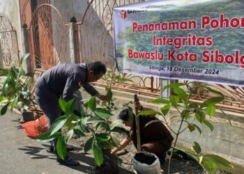 Peduli Dengan Lingkungan Bawaslu Sibolga Tanam Pohon Manggis Simbol Kejujuran