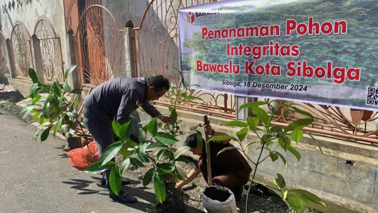 Peduli Dengan Lingkungan Bawaslu Sibolga Tanam Pohon Manggis Simbol Kejujuran