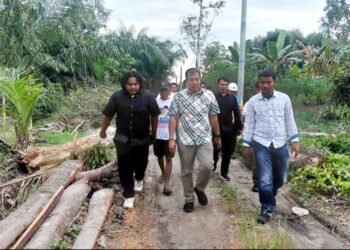 Listrik Terangi Warga Desa Sei Parit, Ade Jona Apresiasi Peran Media