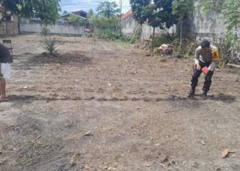 Bhabinkamtibmas Polsek Siantar Selatan Sambang Berikan Dukungan Kepada Warga Tanam Jagung