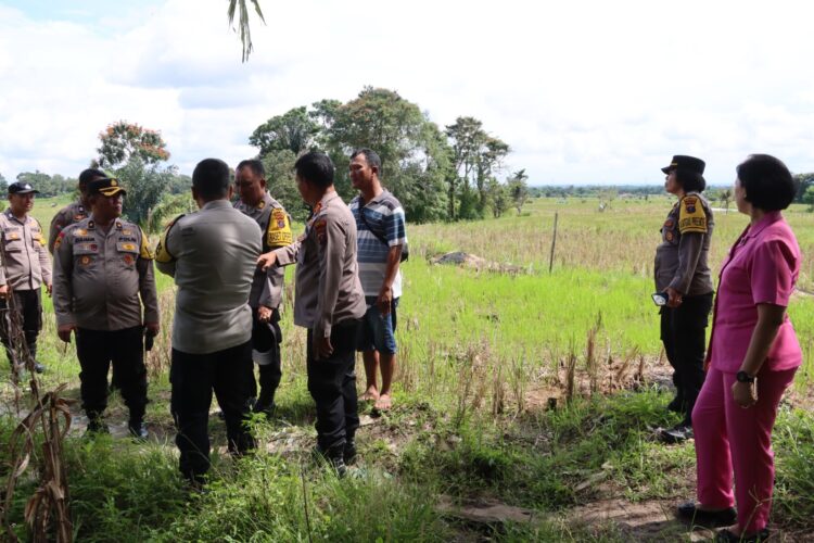 Kapolres Pematangsiantar Tinjau Lahan Persiapan Penanaman Jagung Serentak 1 Hektar Lahan Kapolres Pematangsiantar Tinjau Lahan Persiapan Penanaman Jagung Serentak 1 Hektar Lahan