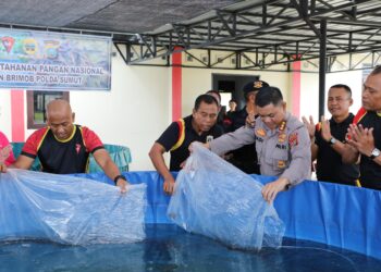 Dukung Ketahanan Pangan, Dansat Brimob Polda Sumut Kombes Pol Rantau Isnur Eka Pimpin Panen Sayuran dan Penaburan Bibit Ikan