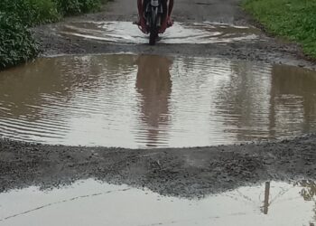 Kondisi Ruas Jalan di Pekon Bedudu Pemangku 1 Menuju Pemangku 2 Way Semaka Memprihatinkan 