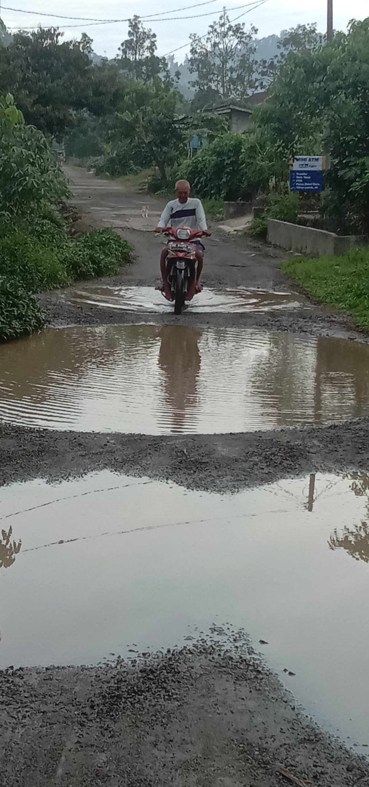 Kondisi Ruas Jalan di Pekon Bedudu Pemangku 1 Menuju Pemangku 2 Way Semaka Memprihatinkan 