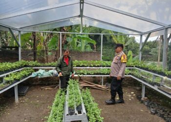 Bhabinkamtibmas Polsek Siantar Martoba Sambangi Warga Binaan Dorong Dukung Ketahanan Pangan