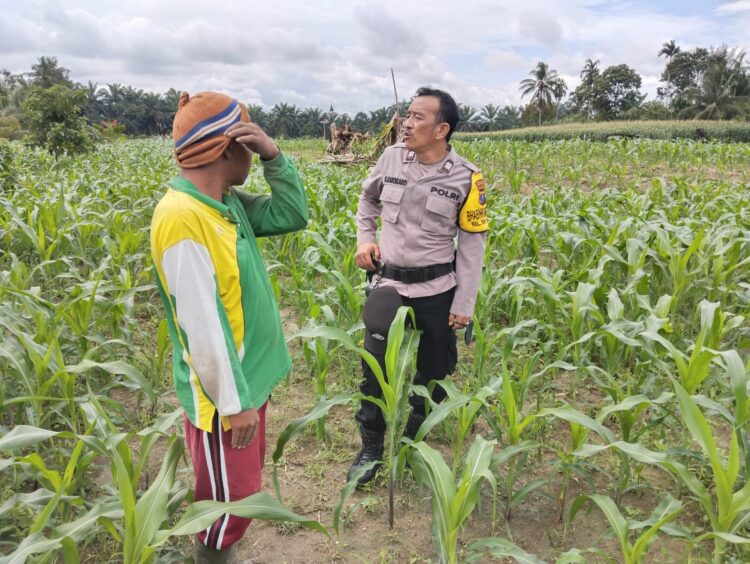 Dukung Ketahanan Pangan, Bhabinkamtibmas Polsek Siantar Martoba Sambangi Warga Binaan