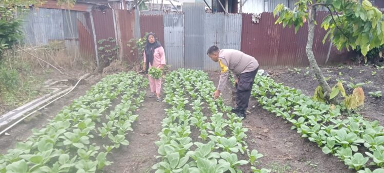 Polsek Siantar Timur Sambangi Warga Dorong Dukung Ketahanan Pangan