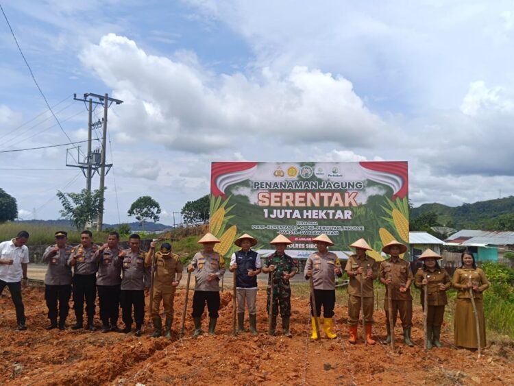 Polres Sibolga Dukung Swasembada Pangan, Tanam Jagung Serentak Polres Sibolga Dukung Swasembada Pangan, Tanam Jagung Serentak