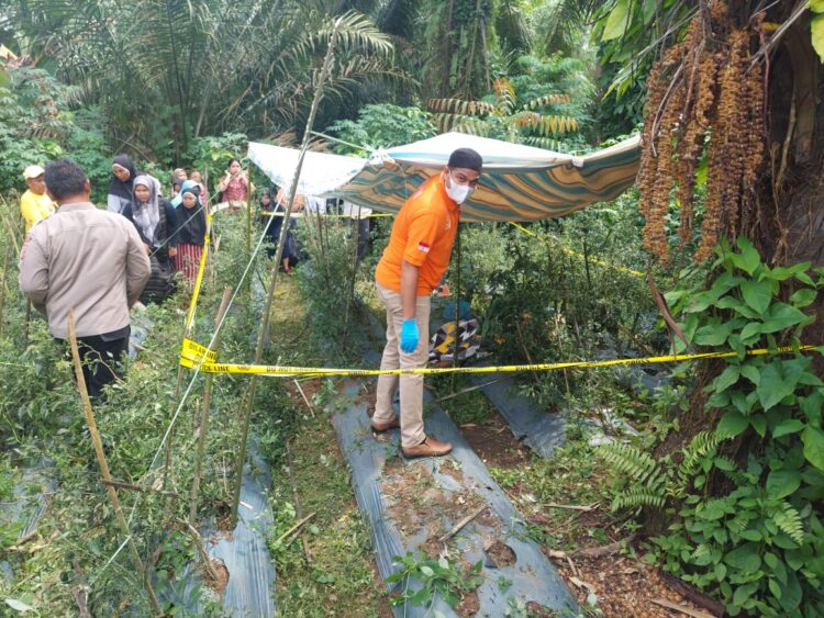 Tim Inafis Polres Simalungun Tangani Penemuan Mayat di Kebun Cabai Bandar Rakyat