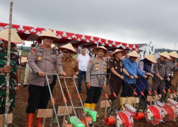 Ketahanan Pangan, Brimob Polda Sumut Kolaborasi dengan Berbagai Pihak Tanam Jagung 1 Juta Hektare